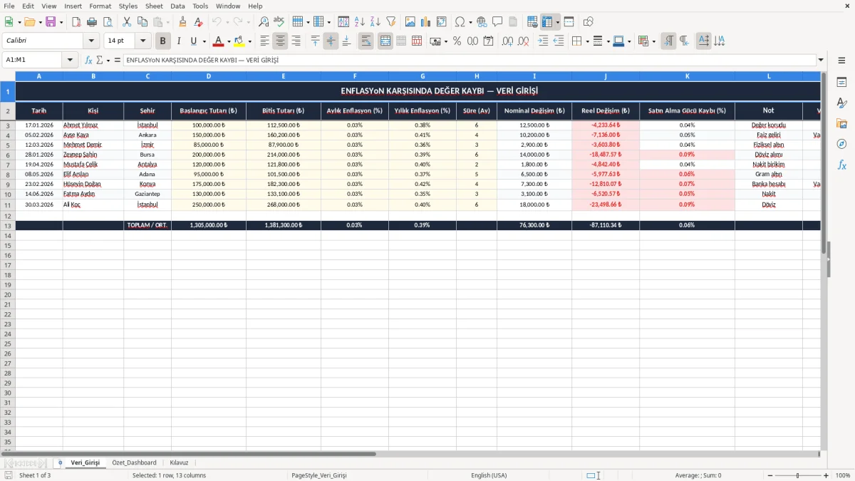 Ekran görüntüsü 1: Veri_Girişi sekmesi - Excel şablonu enflasyon karsisinda deger kaybi excel