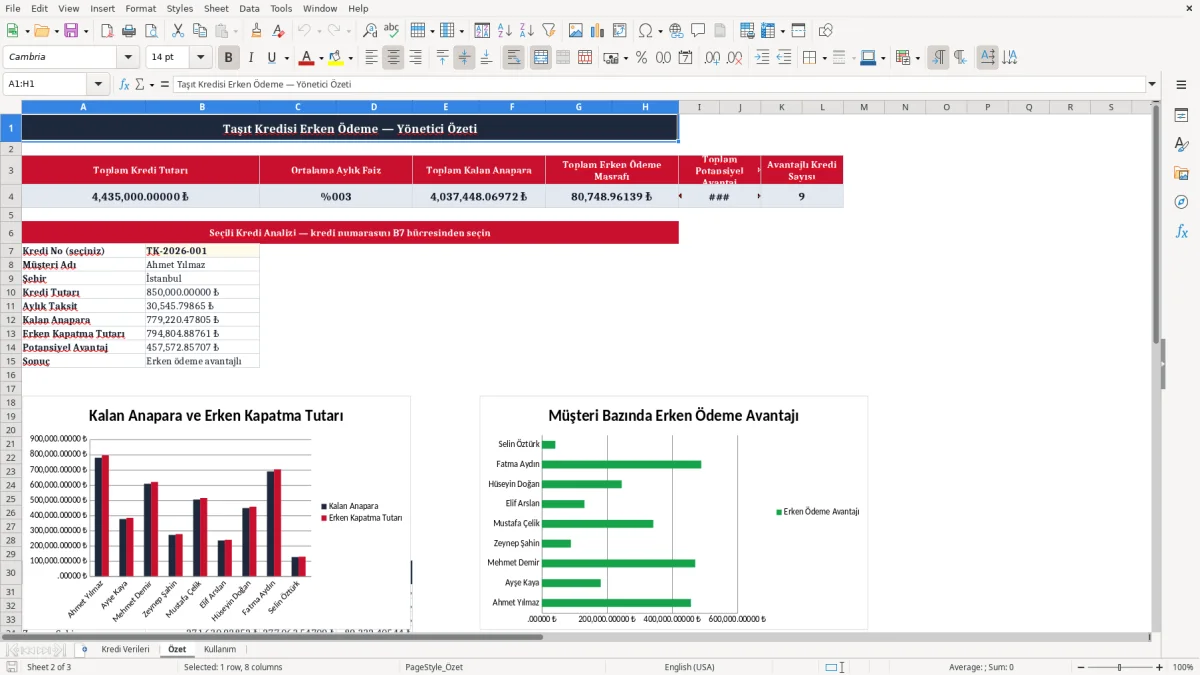 Ekran görüntüsü 2: Özet sekmesi - Excel şablonu tasit kredisi erken odeme hesaplama excel